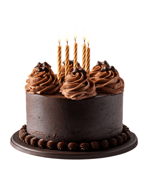 Chocolate cake with lit candles867