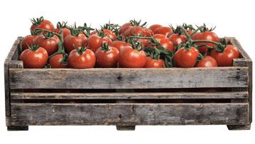 Juicy red tomatoes in rustic wooden crate.