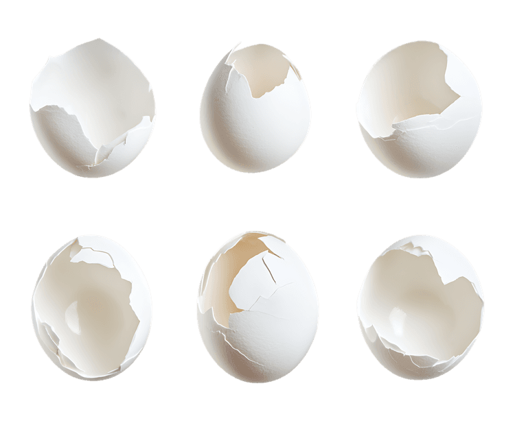 Six cracked eggshells on black background.