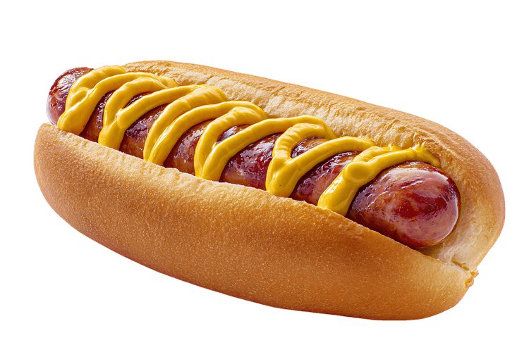 Delicious hot dog with mustard