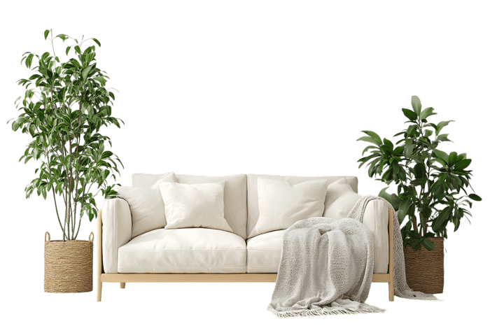 White sofa with plants, cozy living room interior