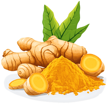 Turmeric root, powder, and leaves.