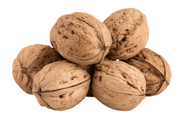 Close up of walnuts, healthy food and ingredient