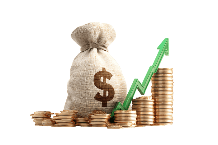 Illustrative image of financial success and wealth growth.