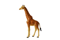 Illustration of a giraffe standing
