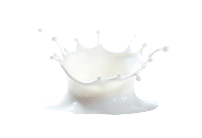 Dynamic white milk drop splashing and forming a crown shape against a clean white background