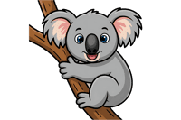 Cute koala cartoon on branch, animal illustration
