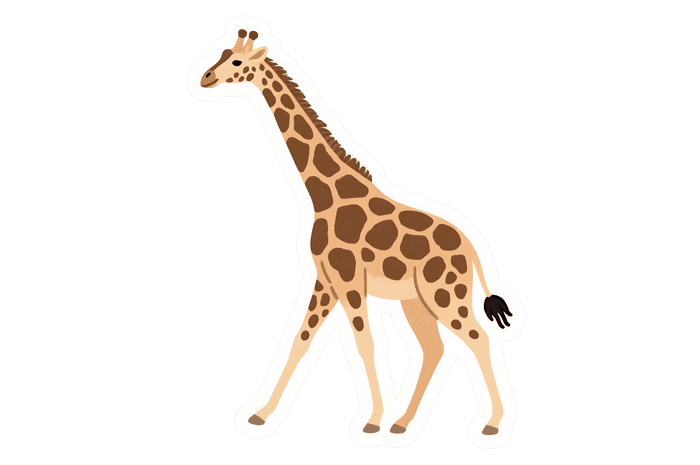 Giraffe illustration, african animal clip art