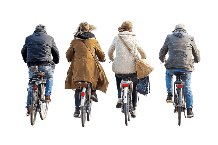 Four people cycling, seen from the back, on a city street.