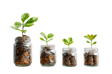 Growing money, investment, financial growth concept.