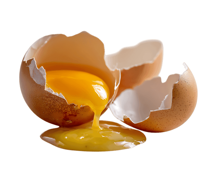 Golden yolk flows from cracked shell.