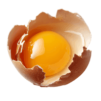 Golden yolk in cracked eggshell211
