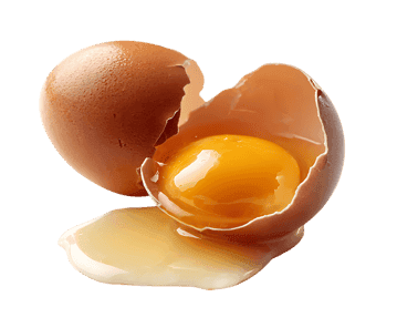 Broken egg yolk and shell