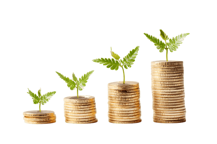 Growth and Investment. Financial success.