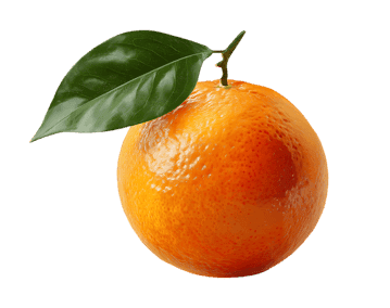 Single ripe mandarin orange with leaf