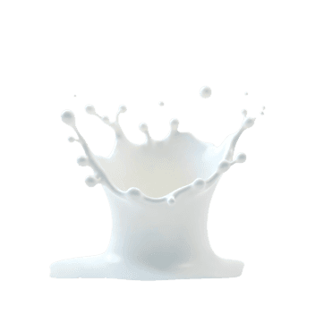 High speed capture of a milk droplet creating a crown shaped splash on a white surface