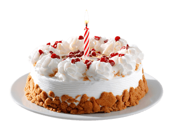 Delicious birthday cake with a candle505.