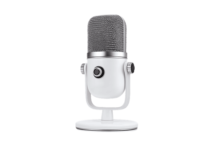 White condenser microphone on a white stand.