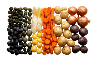 Variety of fresh vegetables arranged in rows.  Perfect for healthy eating concepts.