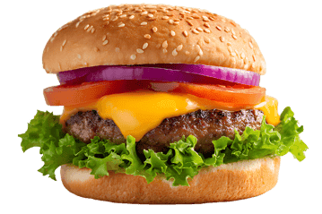 Juicy cheeseburger with all the fixings443.