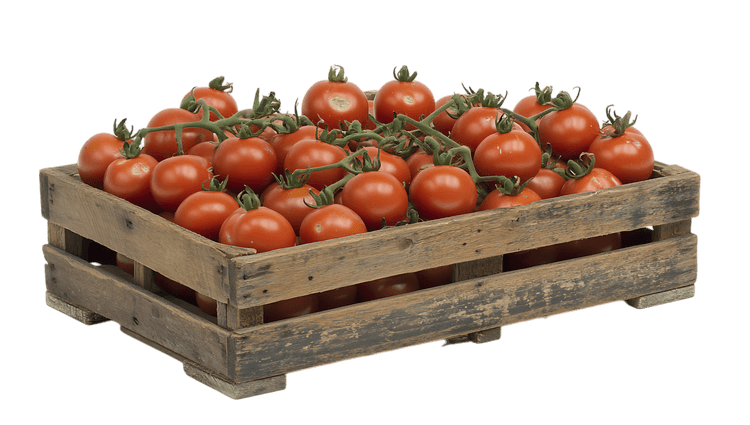 Ripe cherry tomatoes in rustic wooden crate.