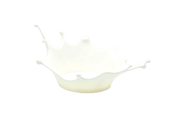 Milk splash on a transparent background
