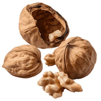 Close up of walnuts, cracked and whole.
