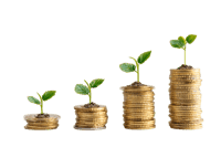 Growth and Investment