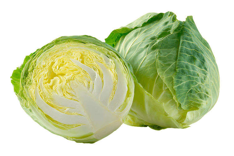 Fresh green cabbage, cut in half, isolated on black background.