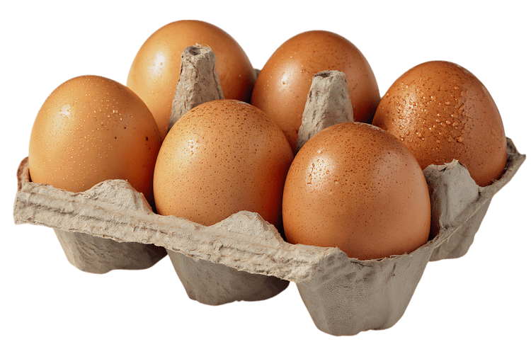 Six brown eggs in a cardboard carton