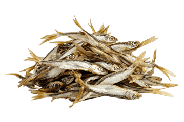 Close up of a pile of dried, small fish.