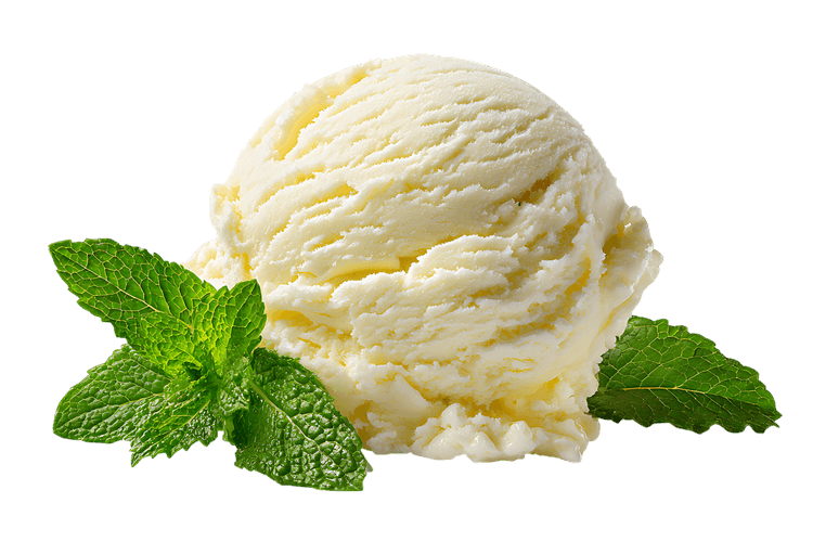 Scoop of vanilla ice cream with mint leaves