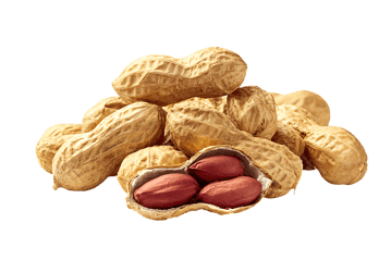 Pile of peanuts in shells, one open showing kernels.