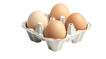 Four fresh eggs in a carton