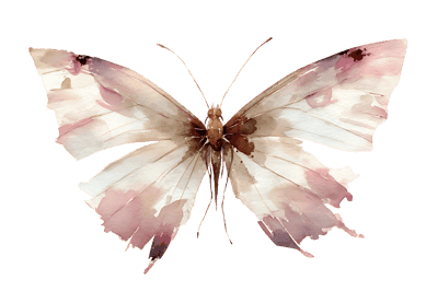 Delicate watercolor painting of a beautiful butterfly in soft pastel colors