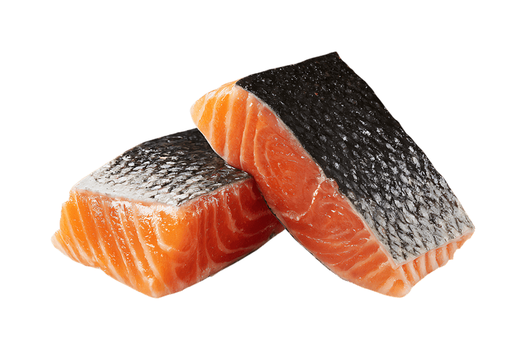 Two raw salmon fillets, skin on, ready to cook.