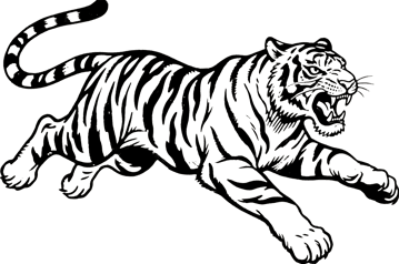 Illustration of a leaping tiger