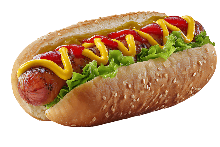 Classic Hot Dog with Mustard and Ketchup962