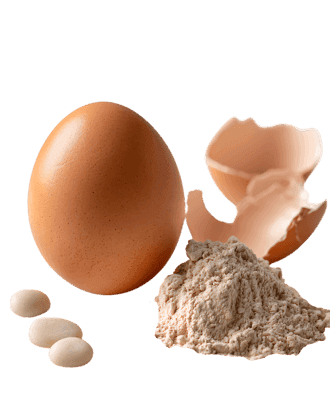 Egg, shell, and powder close-up.