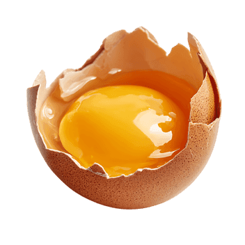 Close-up of a cracked egg yolk