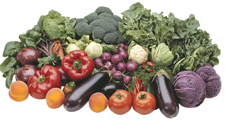 Fresh colorful vegetables and fruits harvest. png