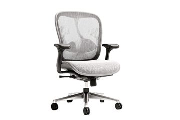 Comfortable and stylish office chair for productivity.