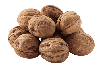 Pile of walnuts, healthy food, nutritious snack