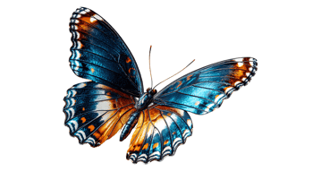 Vibrant Blue Butterfly in Flight