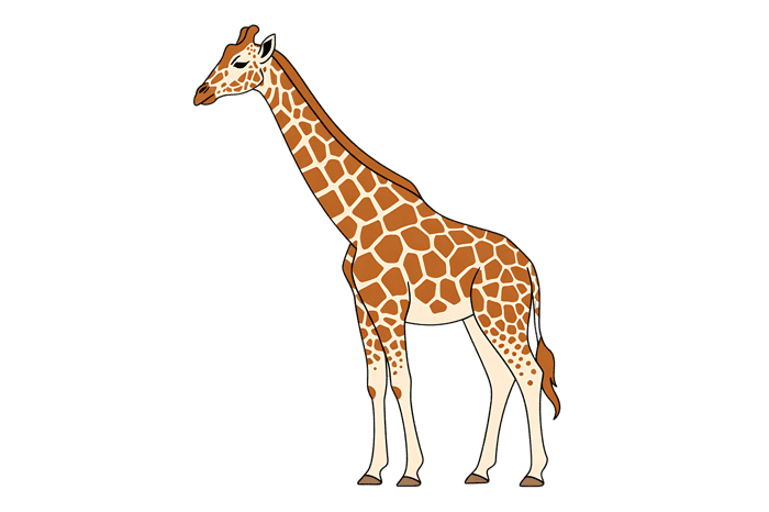 Cartoon giraffe with brown spots and long neck
