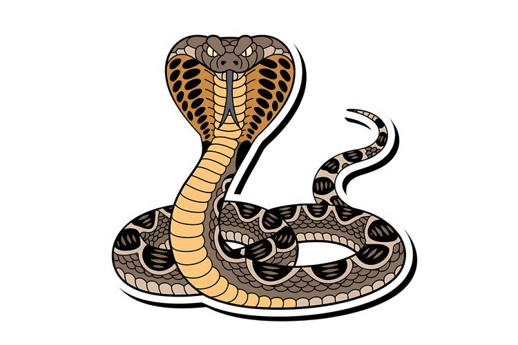 Illustration of a cobra snake with hood up