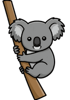 Cartoon koala on branch, cute australian animal illustration