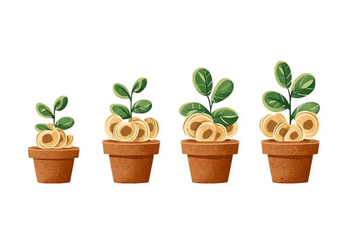Money plant growing stages