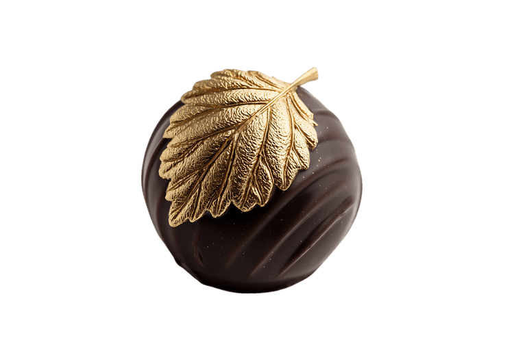 Luxury chocolate with gold leaf