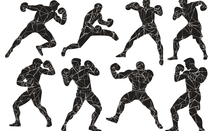 Geometric Boxer Figures in Action